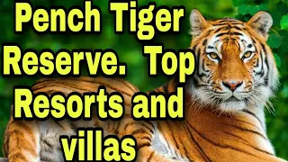 Top Resorts in Pench Tiger National Park, Turiya Nagpur- Jabalpur Road. #pench #tigerreserve
