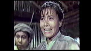 Ntsa Yeej Hmoob Sawv Nplaim Taws - Hmong Dubbed Movie