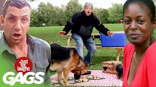 Best of Pranks at The Park Vol. 6 | Just For Laughs Compilation