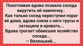 Похотливая Вдова Позвала Соседа! Сборник Свежих Анекдотов! Юмор!