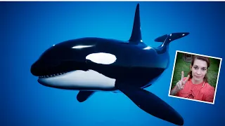 Swimming with Orcas | Ocean Rift VR #orcas #whales #scubadiving #quest2