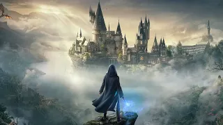 Играем в Hogwarts Legacy на PS4 Pro | Часть 10