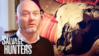 Bidding For An Exceptional 19th Century Water Buffalo Skull | Salvage Hunters