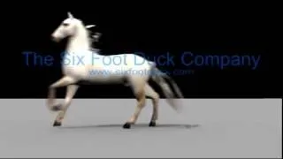 HORSE MOTION CAPTURE