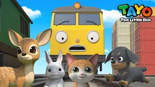 Special moment with cutie animal friends l Tayo S6 Highlight Episodes l Tayo the Little Bus