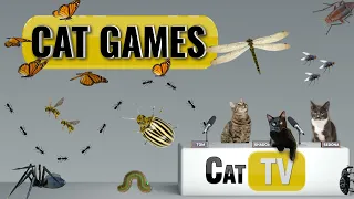 CAT Games | Ultimate Cat TV Bugs and Butterflies Compilation Vol 3 🪲 🐞🦋🦗🐜 | Videos For Cats to Watch