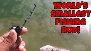 World's Smallest Fishing Rod Catches BIG FISH!