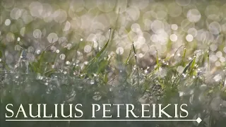 Saulius Petreikis - Water
