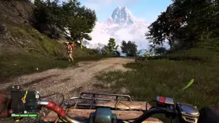 Far Cry 4 Stupid AI