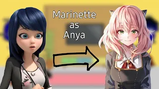 | Mlb react to Marinette as Anya from Spy x Family | Read description |