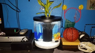 Review Of The: Top Fin Aquaponics 3.5 Gallon Fish tank