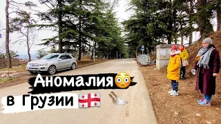 АНОМАЛИЯ В ГРУЗИИ 😳 Вода течёт вверх