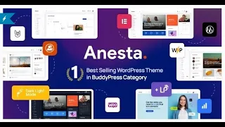 Anesta   Intranet, Extranet, Community and BuddyPress WordPress Theme @1000theme