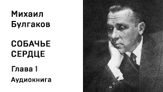 М А Булгаков Собачье сердце Глава 1 Аудиокнига Слушать Онлайн