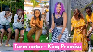 Terminator - King Promise |Best Tiktok Dances🔥🔥