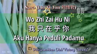 Wo Zhi Zai Hu Ni 我只在乎你 - 刘惜君 Sara Liu (Lirik Dan Terjemahan)