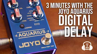 JOYO AQUARIUS DIGITAL DELAY