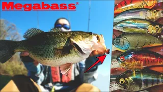 Tiny Crankbaits for BIG Bass - Megabass Z2 & IXI Shad - BFS Fishing