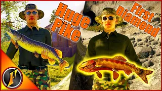 Crazy Fight with a Huge Pike + Diamond Golden Trout Everywhere!