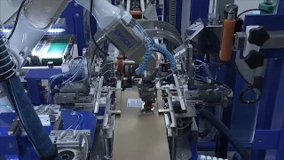 Epson C4 6-Axis Robot used on Ink Cartridge Packaging Line