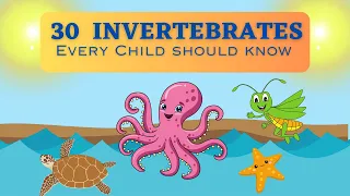 Invertebrates For Kids | 30 Invertebrates That Every Child Should Know.