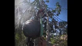 Cutting trees with crane 🫰🏻🫰🏻 #viral #logging #arborist #young #fyp #shorts #short #shorts #crane #g