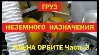 Год на орбите. Часть 3. Груз неземного назначения.