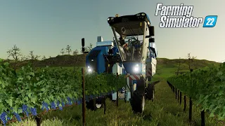 Farming Simulator 22 | PRIMEIRA COLHEITA DAS UVAS COM A MAQUINA CORRETA! #07