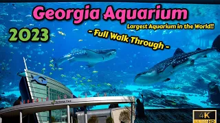 2023 Georgia Aquarium | Full Walk Through | Largest aquarium in the world | 4K | Atlanta, GA