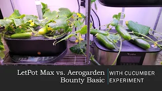 LetPot Max vs. Aerogarden Bounty Basic Hydroponics Systems with Cucumber Growing Experiment, Iznik