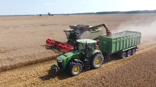 Harvest 2020 Claas Lexion 670 Lithuania