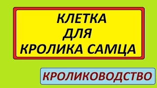 Клетка для Кролика самца