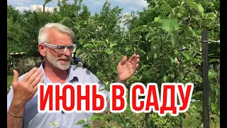 Garden work in June 2021 (reupload) / Igor Bilevich