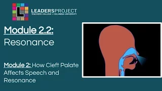 Module 2.2- Cleft Palate Speech and Feeding: Resonance