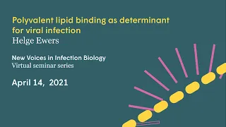 Polyvalent lipid binding as determinant for viral infection | Virtual seminar with Helge Ewers