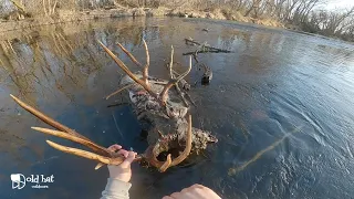 Incredible River Find While Fishing in Town /Boise River/ HUGE Mule Deer