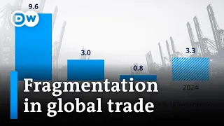 WTO warns of dangerous fragmentation of global trade | DW Business