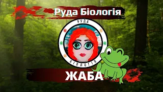 ЖАБА (Руда Біологія)