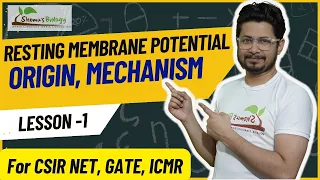 Resting membrane potential of neuron | Mechanism of resting membrane potential