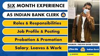 🔥My 6 Month Experience As An IBPS Clerk | Indian Bank Clerk | Banking Prep