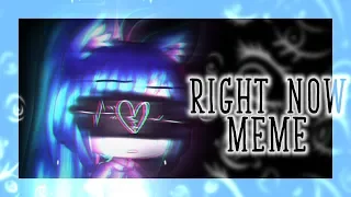 Right Now Meme || GachaLife