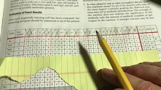 antibody identification demonstration