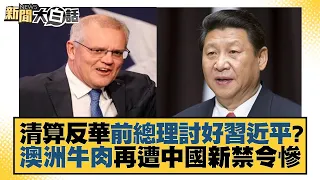 清算反華前總理討好習近平？澳洲牛肉再遭中國新禁令慘 新聞大白話 20220816