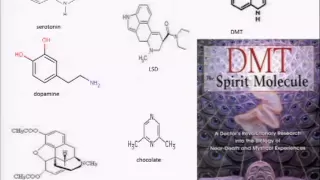 Clarifying the Tubulin bit/qubit - Defending the Penrose-Hameroff Orch OR Model (Quantum Biology)