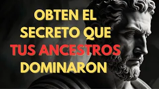 Cómo Encontrar la Paz Interior YA: Estoicismo vs Mindfulness | Estoicismo: La Guia Definitiva