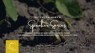 Speaker Series - Northern Leopard Frog Conservation - January 2022