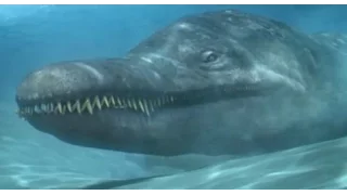 Sea monsters: Megalodon vs Predator X - Who's gonna win this fight..? [Full HD]