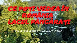 Ce poți vedea în România  -  Lacul Pângărați (all season)- 4k