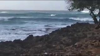 Surf's up Turtle Bay North Shore Hawaii 2019