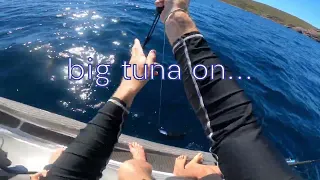 EBH Extreme Team   Massive Tuna & Scurfing!!